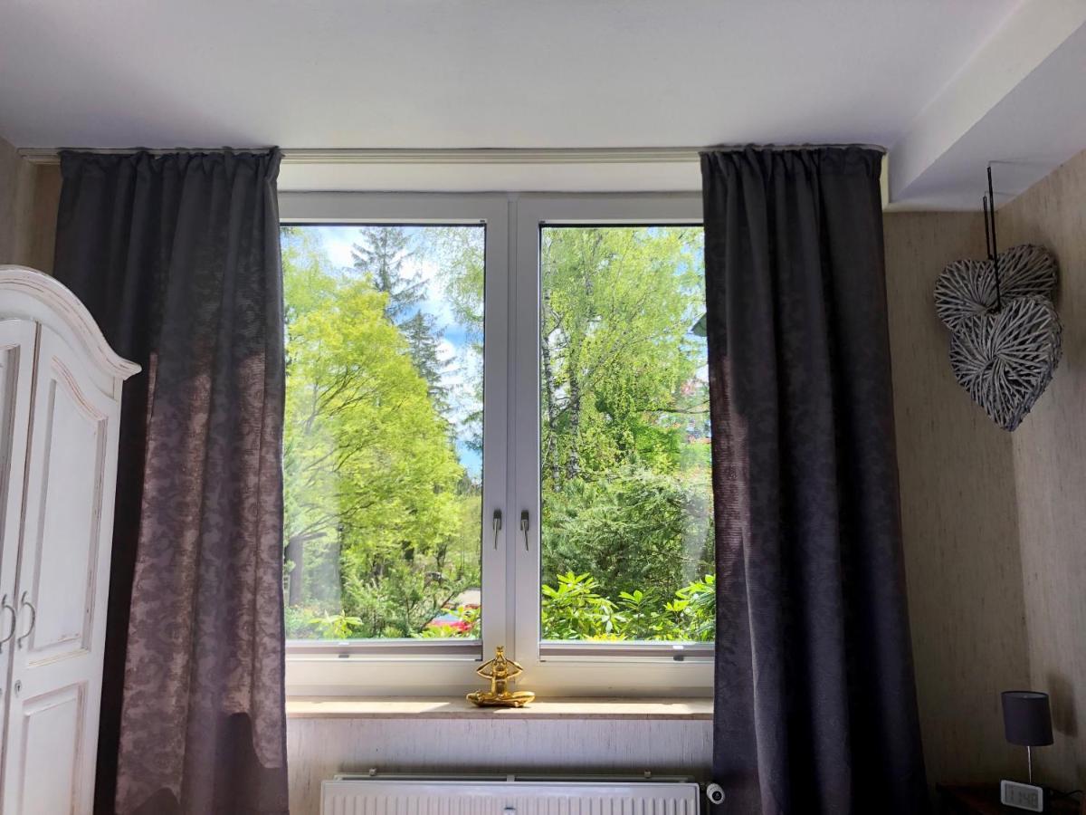 Fewo Harzromantik Braunlage Exteriér fotografie