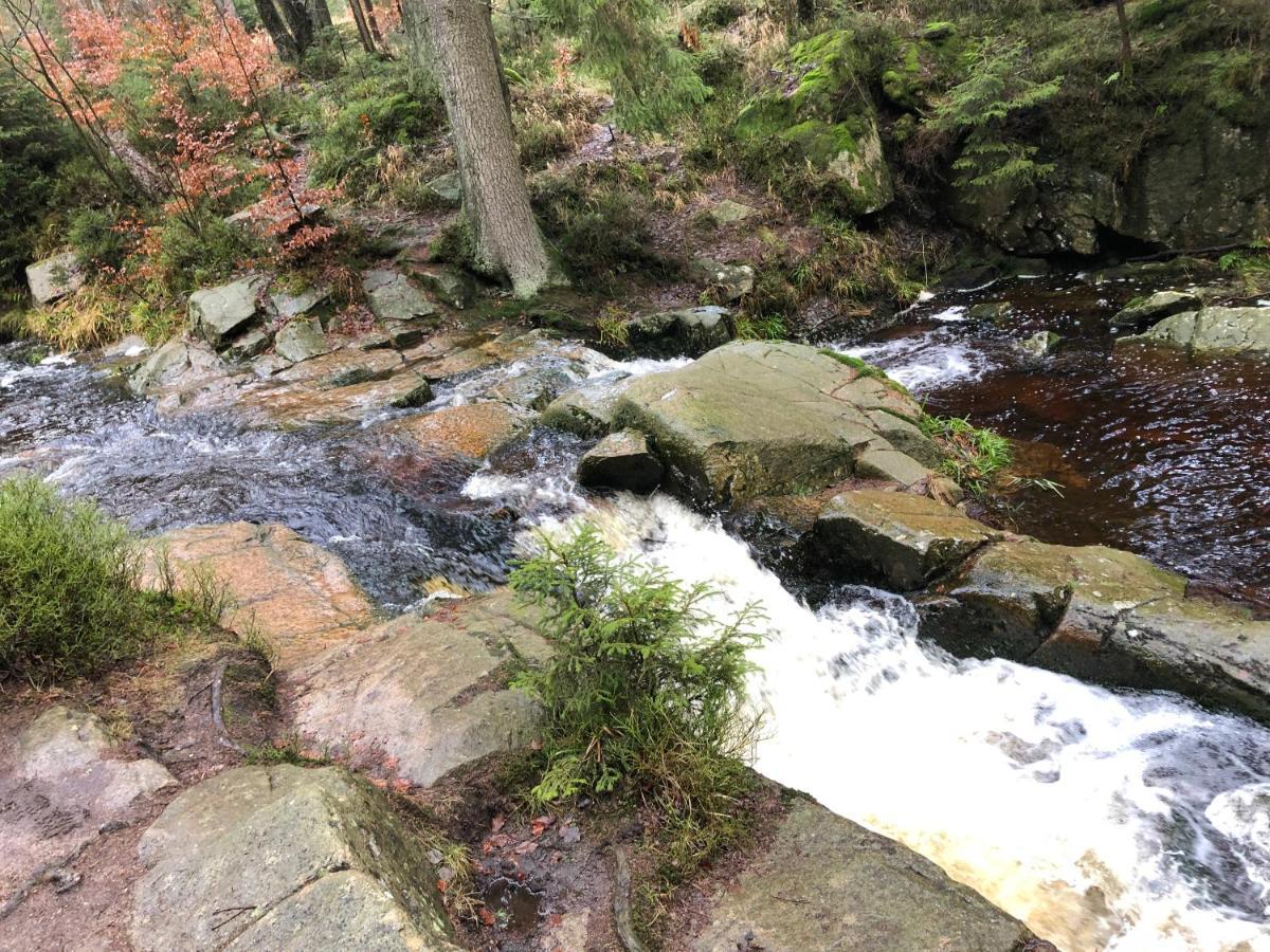 Fewo Harzromantik Braunlage Exteriér fotografie