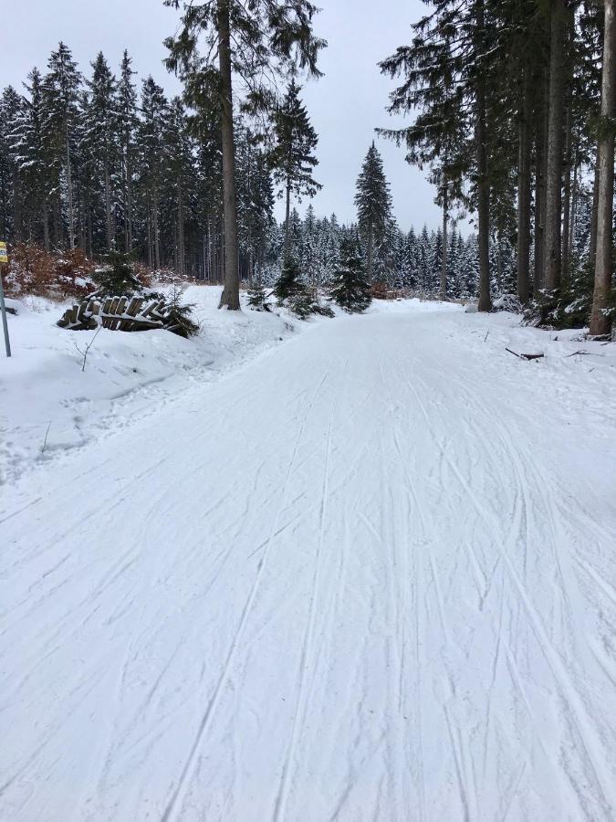 Fewo Harzromantik Braunlage Exteriér fotografie